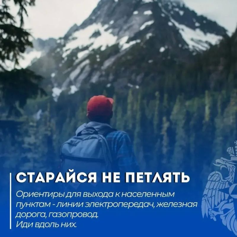 Все в поход!. Но прежде чем выйти в лес, позаботься о своей безопасности и изучи, что делать, если ты потерялся Все в поход!. Но прежде чем выйти в лес, позаботься о своей безопасности и изучи, что делать, если ты потерялся