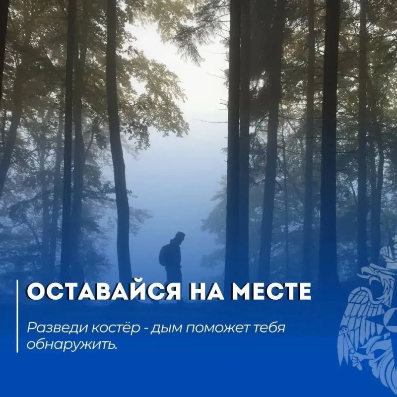 Все в поход!. Но прежде чем выйти в лес, позаботься о своей безопасности и изучи, что делать, если ты потерялся Все в поход!. Но прежде чем выйти в лес, позаботься о своей безопасности и изучи, что делать, если ты потерялся