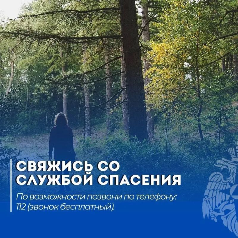 Все в поход!. Но прежде чем выйти в лес, позаботься о своей безопасности и изучи, что делать, если ты потерялся Все в поход!. Но прежде чем выйти в лес, позаботься о своей безопасности и изучи, что делать, если ты потерялся