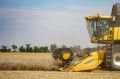 Ставропольские хлеборобы убрали 88% зерновых площадей