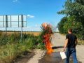 На Ставрополье полицейские ликвидировали почти 400 кустов дикорастущей конопли