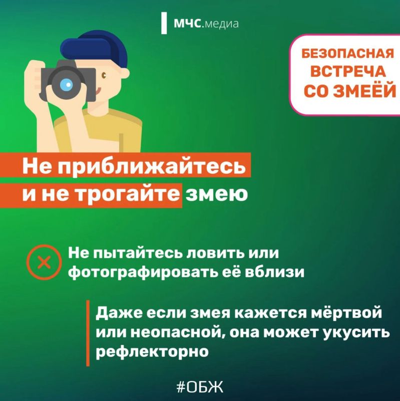 Осторожно, змея! Главные правила безопасности для отдыха на природе Осторожно, змея! Главные правила безопасности для отдыха на природе