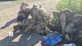 Эдуард Басурин: ФСБ РФ успешно предотвратила попытку совершения теракта у здания прокуратуры города Пятигорск