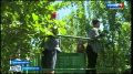 Ставропольскую сливу ждут по всей России