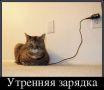 ������������ �������� ������� ��� ����� �������