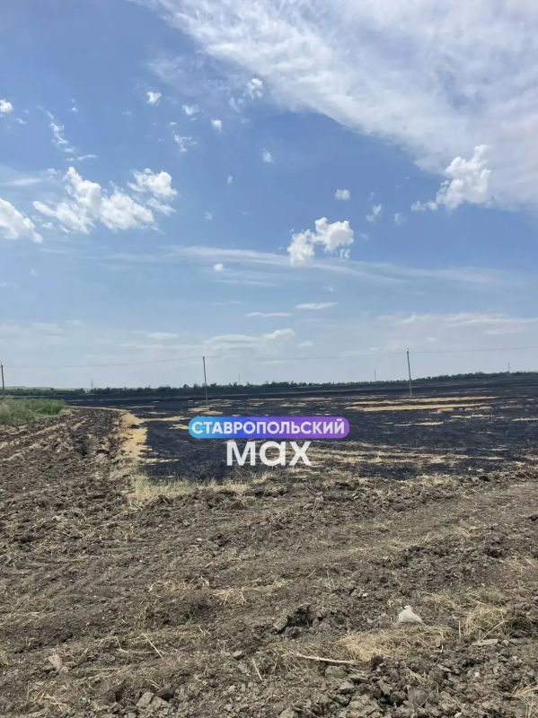 Последствия пожара, из-за которого ставропольцы чувствовали запах гари Последствия пожара, из-за которого ставропольцы чувствовали запах гари