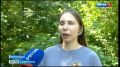 Кинологи отряда «ЛизаАлерт» провели тренировку у горы Бештау