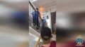� �������������� ���� ������� �������� ������������ ���������� ����� ���������� ����������� ���������