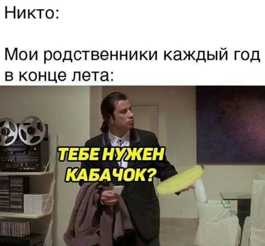 Кабачковый сезон в самом разгаре!