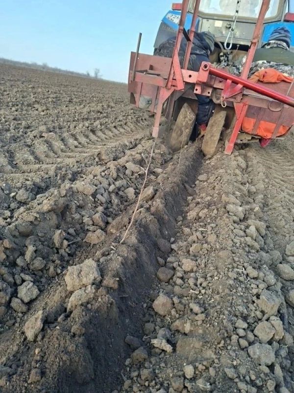 В тройке лидеров. Ставропольский край вошел в тройку регионов России по итогам весеннего лесокультурного сезона В тройке лидеров. Ставропольский край вошел в тройку регионов России по итогам весеннего лесокультурного сезона