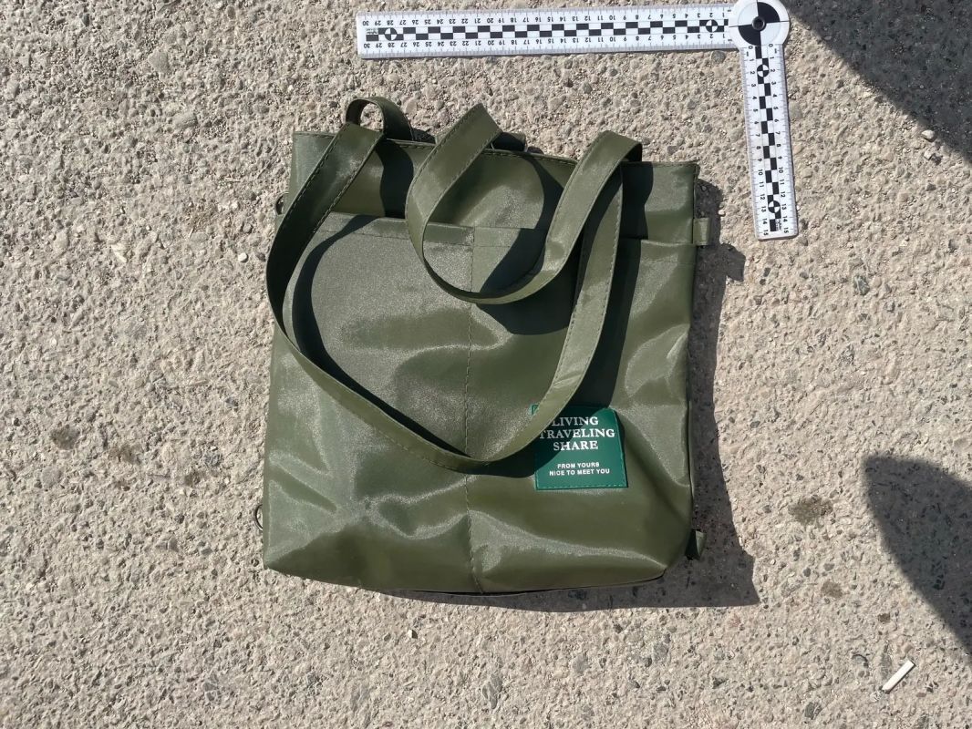 В Ставропольском крае полицейские задержали девушку-наркокурьера, пытавшуюся избавиться от крупной партии мефедрона В Ставропольском крае полицейские задержали девушку-наркокурьера, пытавшуюся избавиться от крупной партии мефедрона