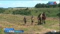 «Вести. Ставропольский край» 11.08.2026 (09.30)