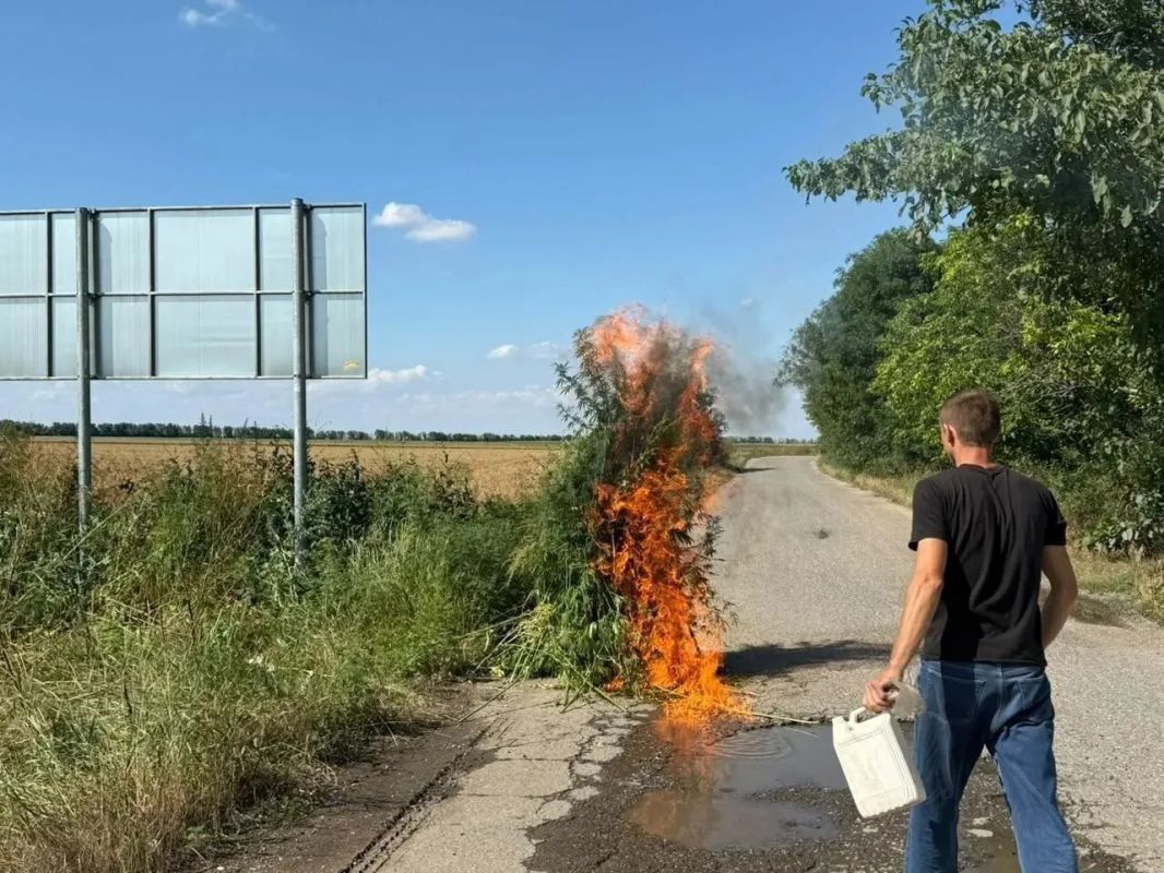 На Ставрополье подведены итоги второго этапа операции «Мак-2026» На Ставрополье подведены итоги второго этапа операции «Мак-2026»