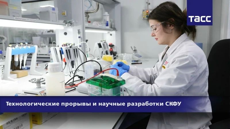 #Прямосейчас Региональный информационный центр "ТАСС Кавказ" в Пятигорске проводит пресс-конференцию, посвященную научным разработкам ученых Северо-Кавказского федерального университета (СКФУ) в технологических отраслях в...