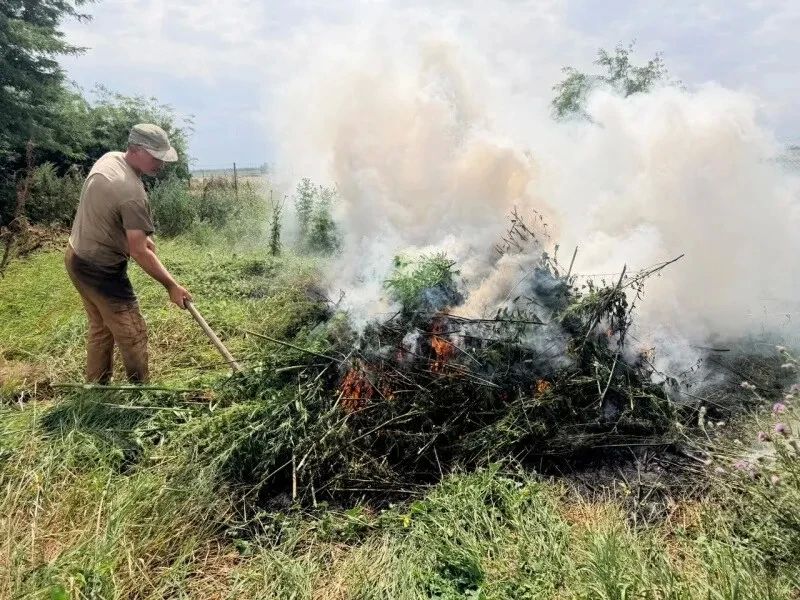 На Ставрополье подведены итоги второго этапа операции «Мак-2026» На Ставрополье подведены итоги второго этапа операции «Мак-2026»