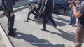 ������ ����������� �������� �������� � �������������� ����������