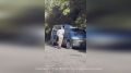 ���������� ���� ������ �� ��������������� ���� ��������� ������ �����-����������, ����������� � ���������� ����������������� ����