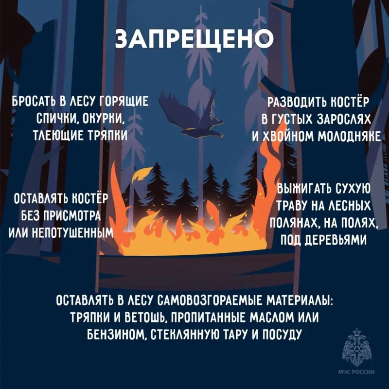 Масштабной трагедии можно избежать, главное знать как Масштабной трагедии можно избежать, главное знать как