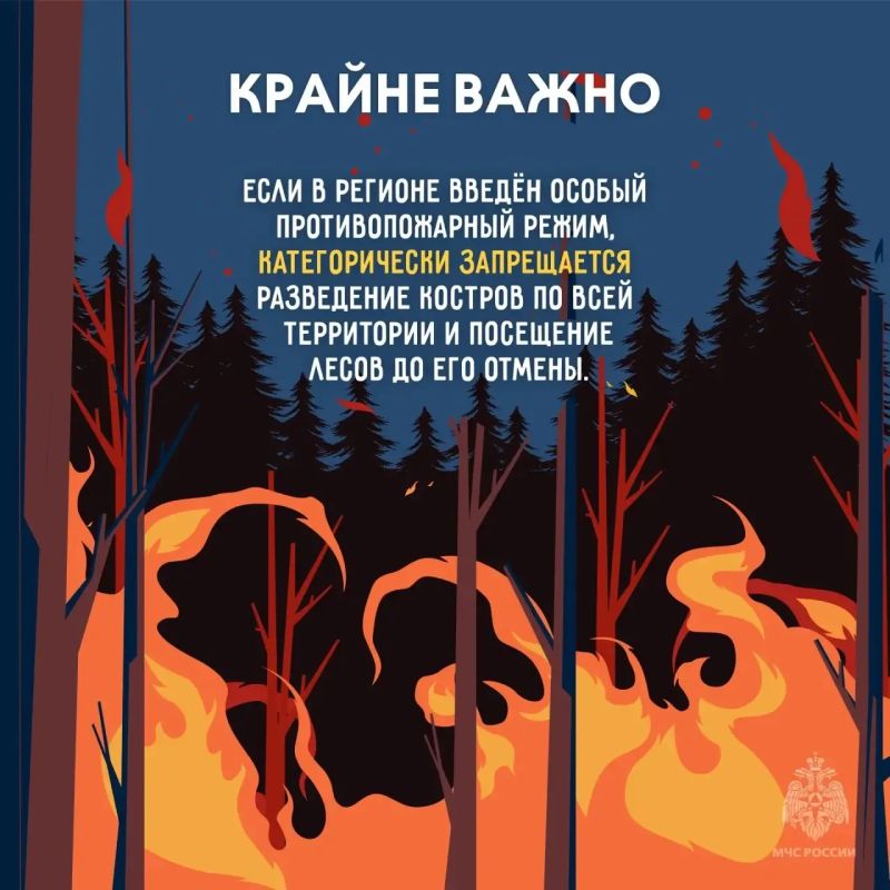 Масштабной трагедии можно избежать, главное знать как Масштабной трагедии можно избежать, главное знать как