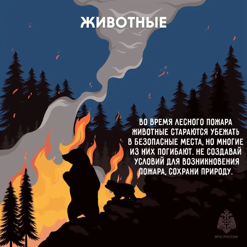 Масштабной трагедии можно избежать, главное знать как Масштабной трагедии можно избежать, главное знать как