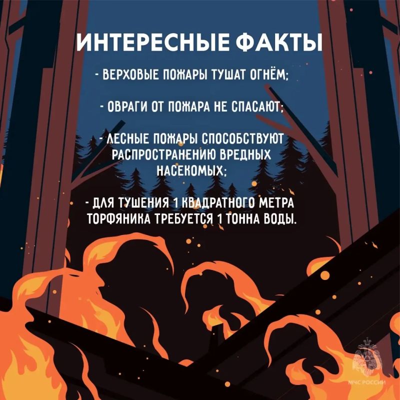Масштабной трагедии можно избежать, главное знать как Масштабной трагедии можно избежать, главное знать как