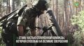 Служба по контракту — дело чести и доблести!