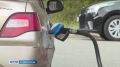 Руководство страны держит под постоянным вниманием ситуацию с бензином
