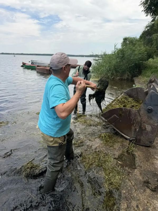 Владимир Владимиров: С конца марта уже более 10 тысяч жителей нашего края приняли участие во Всероссийской акции «Вода России» Владимир Владимиров: С конца марта уже более 10 тысяч жителей нашего края приняли участие во Всероссийской акции «Вода России»