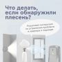 Плесень в подъезде или квартире - это не просто косметический дефект, а угроза здоровью