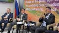 Национальная стратегия – сохранить леса