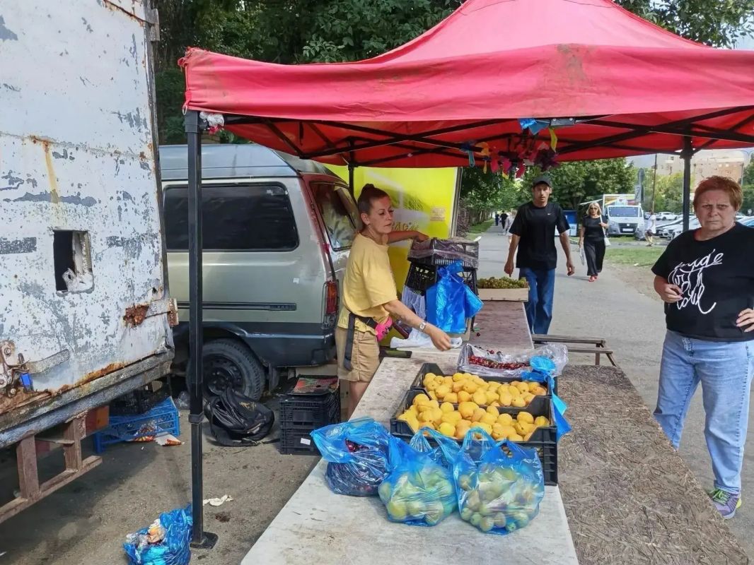 Более 19 тонн овощей и фруктов изъяли у нелегальных продавцов в Ставрополе Более 19 тонн овощей и фруктов изъяли у нелегальных продавцов в Ставрополе