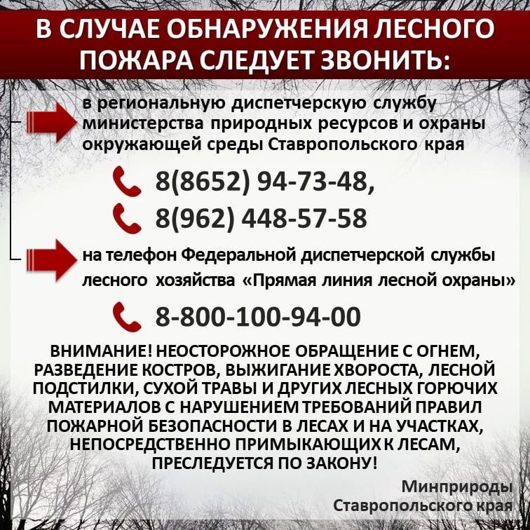 По данным информационной системы дистанционного мониторинга Рослесхоза по состоянию на 21.08.2026 на большей территории края установился 3 класс пожарной опасности (средний) По данным информационной системы дистанционного мониторинга Рослесхоза по состоянию на 21.08.2026 на большей территории края установился 3 класс пожарной опасности (средний)