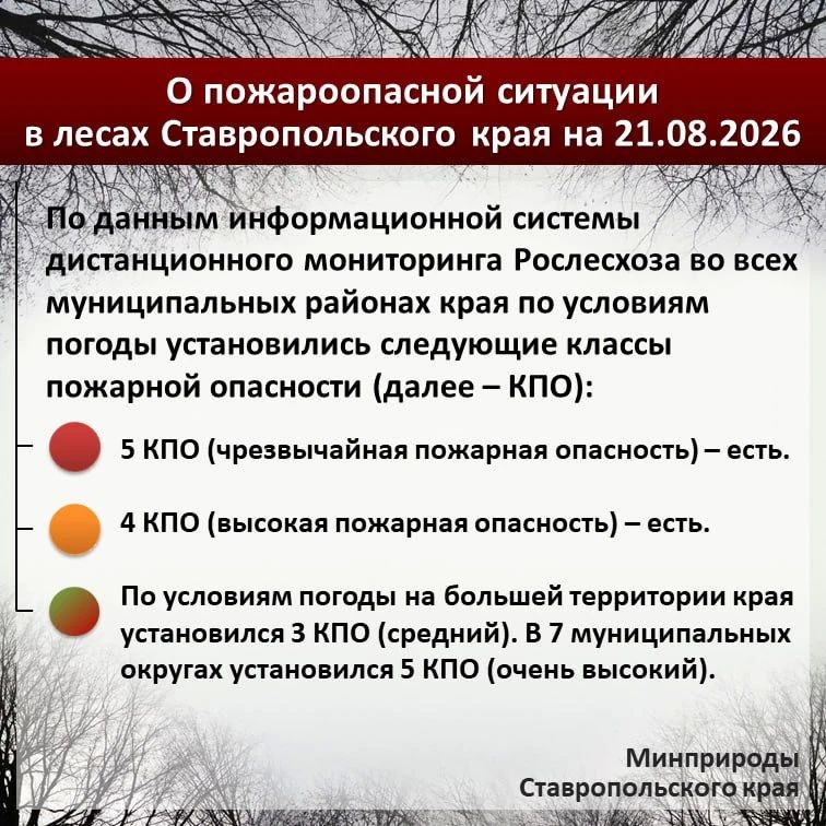 По данным информационной системы дистанционного мониторинга Рослесхоза по состоянию на 21.08.2026 на большей территории края установился 3 класс пожарной опасности (средний)