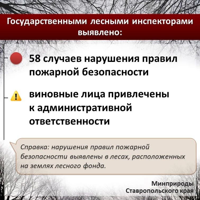 По данным информационной системы дистанционного мониторинга Рослесхоза по состоянию на 21.08.2026 на большей территории края установился 3 класс пожарной опасности (средний) По данным информационной системы дистанционного мониторинга Рослесхоза по состоянию на 21.08.2026 на большей территории края установился 3 класс пожарной опасности (средний)