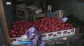 Стихийных точек торговли в Ставрополе стало в разы больше