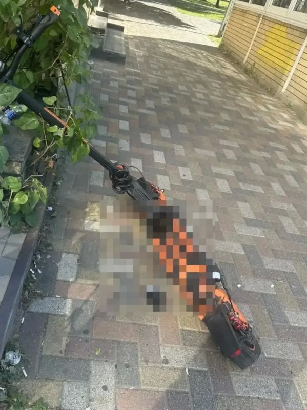 В Ставрополе устанавливаются обстоятельства ДТП с участием несовершеннолетнего пользователя СИМ В Ставрополе устанавливаются обстоятельства ДТП с участием несовершеннолетнего пользователя СИМ