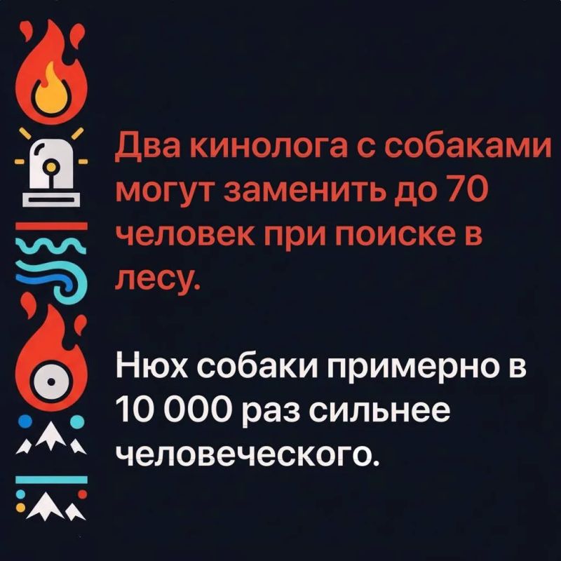 6 нетипичных фактов о работе сотрудников МЧС России 6 нетипичных фактов о работе сотрудников МЧС России