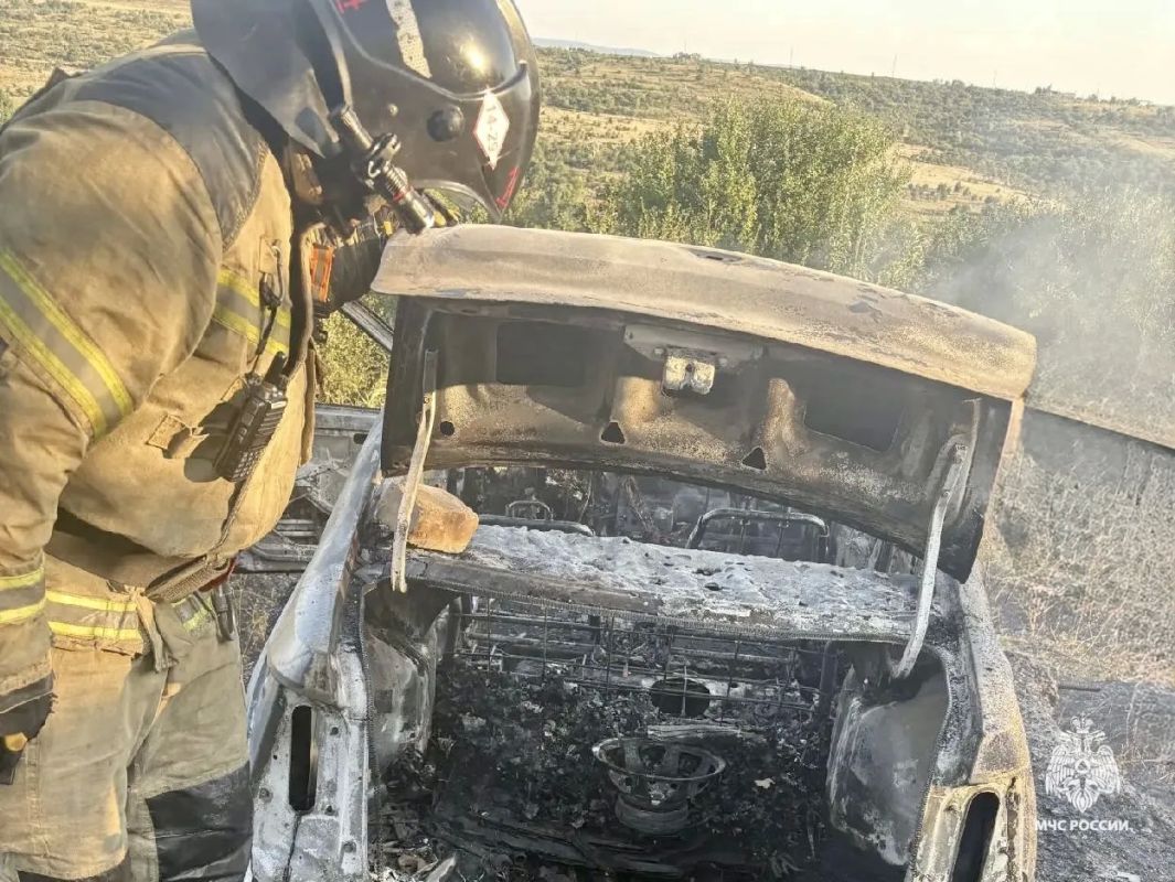 В Верхней Татарке пламя уничтожило авто и сухую траву В Верхней Татарке пламя уничтожило авто и сухую траву