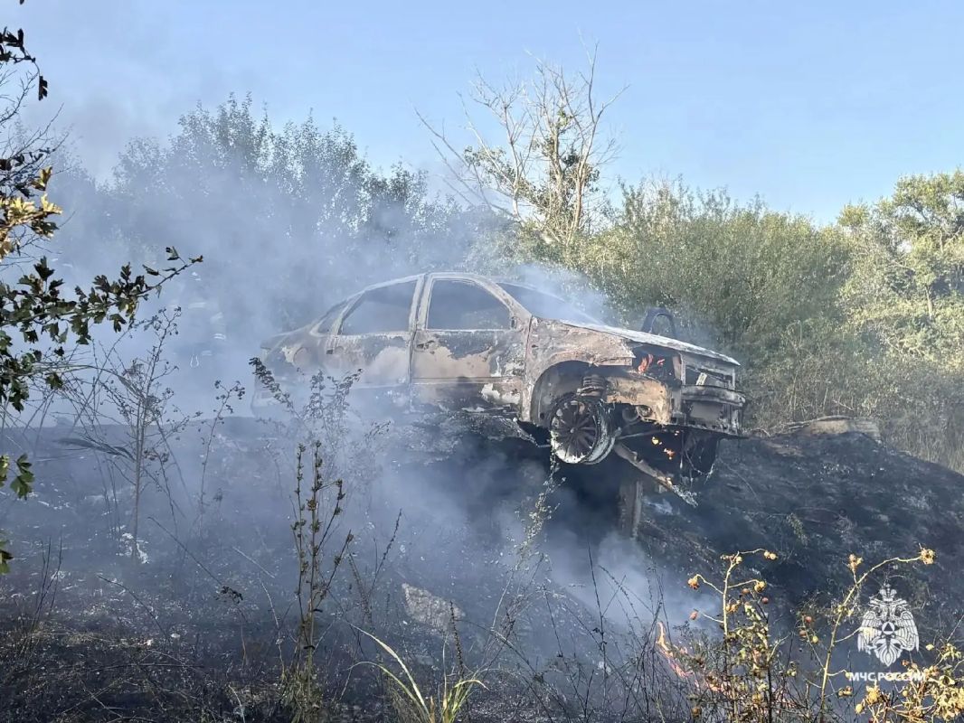 В Верхней Татарке пламя уничтожило авто и сухую траву В Верхней Татарке пламя уничтожило авто и сухую траву
