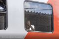 Прямой поезд пустят между Тамбовом и Кисловодском