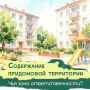 Кто отвечает за чистоту во дворе?