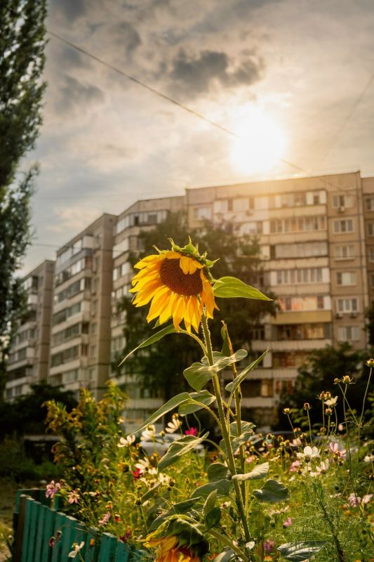 Доброе утро. Дмитрий Заворыкин Подпишись на нас в МАКС