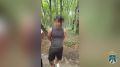 � ���������� ���������� ������� ��������� ������� ��� ������� ����� ����� 100 ������� ����������