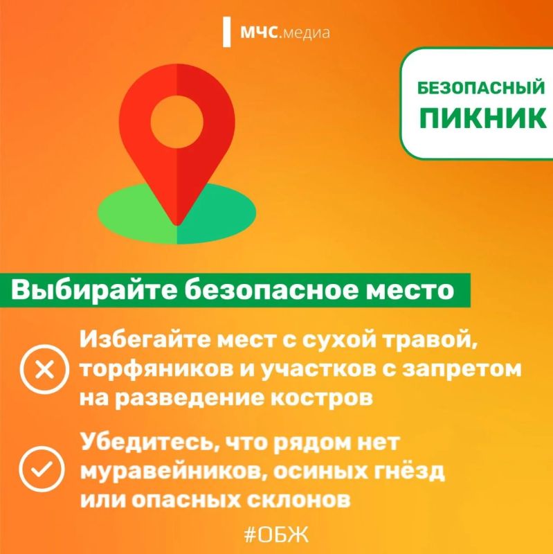 Безопасный пикник в конце лета Безопасный пикник в конце лета