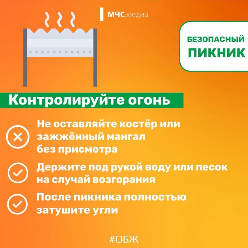 Безопасный пикник в конце лета Безопасный пикник в конце лета