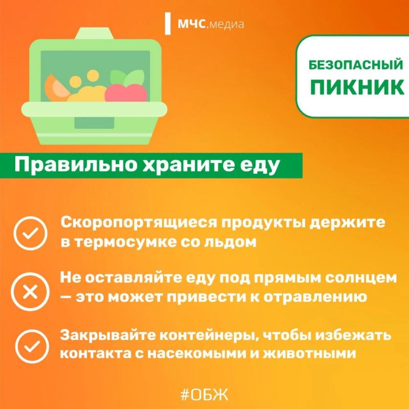 Безопасный пикник в конце лета Безопасный пикник в конце лета