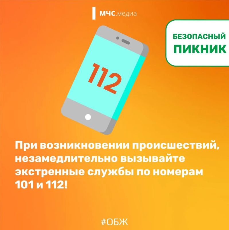 Безопасный пикник в конце лета Безопасный пикник в конце лета