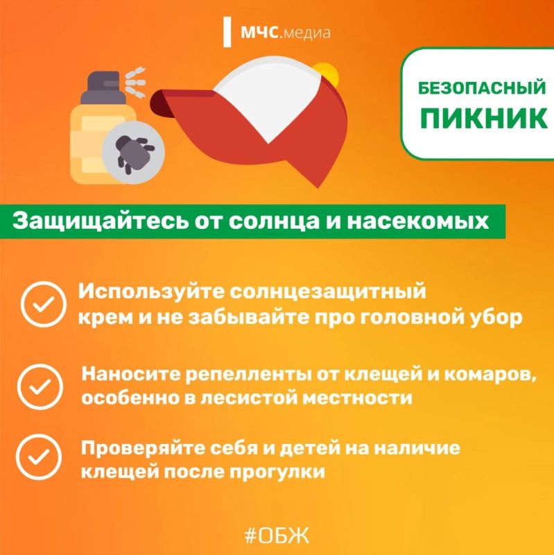 Безопасный пикник в конце лета Безопасный пикник в конце лета