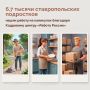 6,7 тысячи школьников получили работу во время летних каникул на Ставрополье