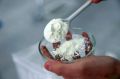 Кормовые добавки с молочным кальцием разрабатывают ученые СКФУ